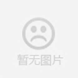 魯氏真空泵 魯氏真空泵