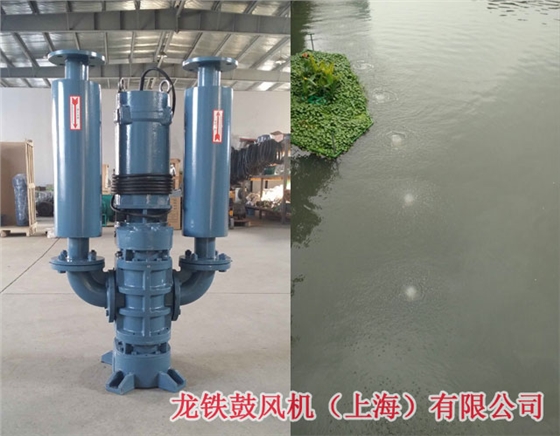 潛水風(fēng)機(jī)工作原理 潛水風(fēng)機(jī)工作原理
