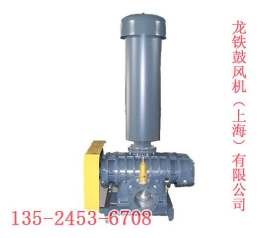 煤氣專用羅茨鼓風(fēng)機 煤氣專用羅茨鼓風(fēng)機