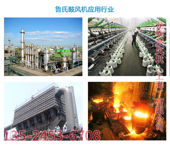 羅茨鼓風(fēng)機(jī)用途 羅茨鼓風(fēng)機(jī)用途