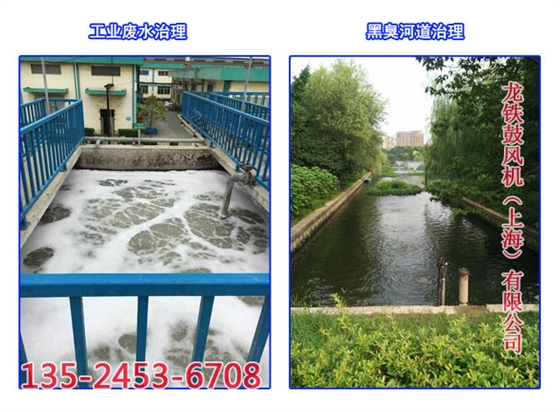 黑臭河道治理 黑臭河道治理