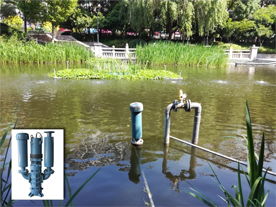 沉水見機(jī)安裝效果圖 沉水見機(jī)安裝效果圖