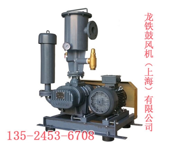 三葉羅茨風(fēng)機真空型流量特性 三葉羅茨風(fēng)機真空型流量特性