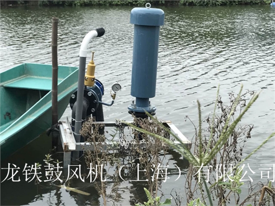 龍鐵沉水式鼓風機多少錢長效機製？.jpg