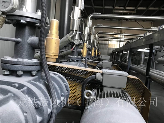 羅茨鼓風(fēng)機(jī)正負(fù)荷運(yùn)行.jpg 羅茨鼓風(fēng)機(jī)正負(fù)荷運(yùn)行.jpg