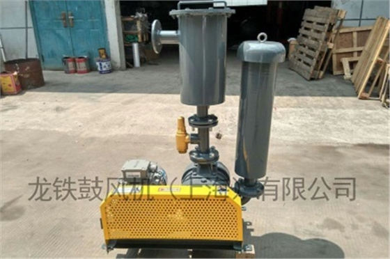 羅茨鼓風(fēng)機(jī) 羅茨鼓風(fēng)機(jī)