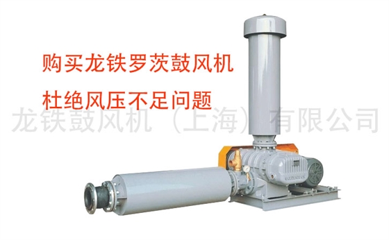羅茨鼓風(fēng)機 羅茨鼓風(fēng)機