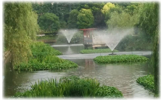 噴泉曝氣器 噴泉曝氣器