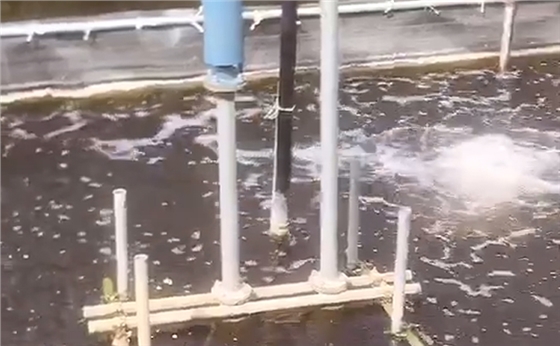 沉水風機 沉水風機