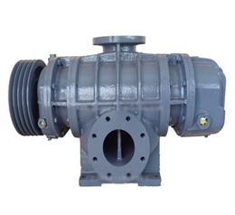 雕刻設(shè)備魯氏真空泵