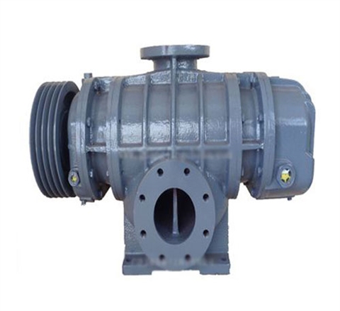 魯氏真空泵 魯氏真空泵