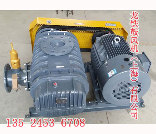 沼氣專用羅茨風機 沼氣專用羅茨風機