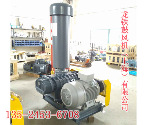 天然氣專用羅茨鼓風(fēng)機(jī) 天然氣專用羅茨鼓風(fēng)機(jī)
