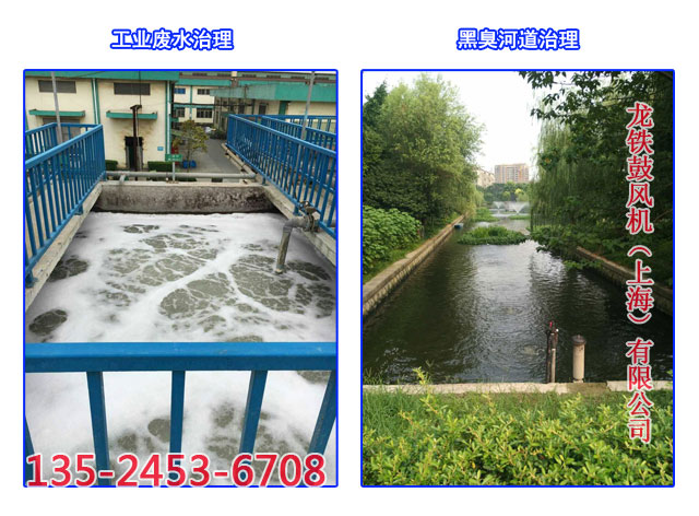 污水處理鼓風(fēng)機(jī) 污水處理鼓風(fēng)機(jī)