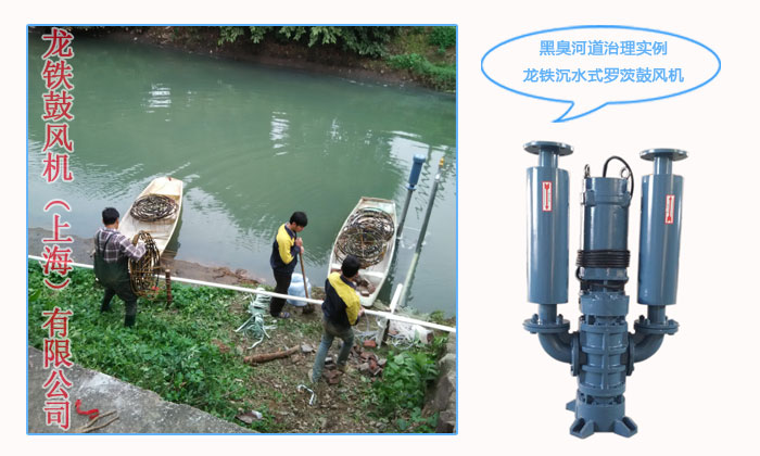 污水處理鼓風(fēng)機(jī) 污水處理鼓風(fēng)機(jī)