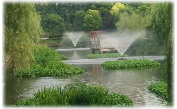 噴泉曝氣器 噴泉曝氣器