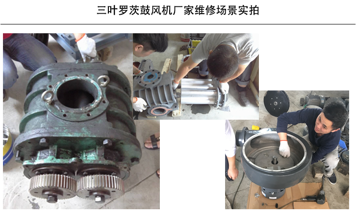 三葉羅茨鼓風(fēng)機(jī)維修場景 三葉羅茨鼓風(fēng)機(jī)維修場景