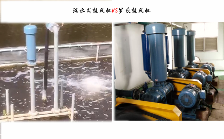 沉水式鼓風(fēng)機(jī)在水處理行業(yè)中的優(yōu)點(diǎn)pg 沉水式鼓風(fēng)機(jī)在水處理行業(yè)中的優(yōu)點(diǎn)pg